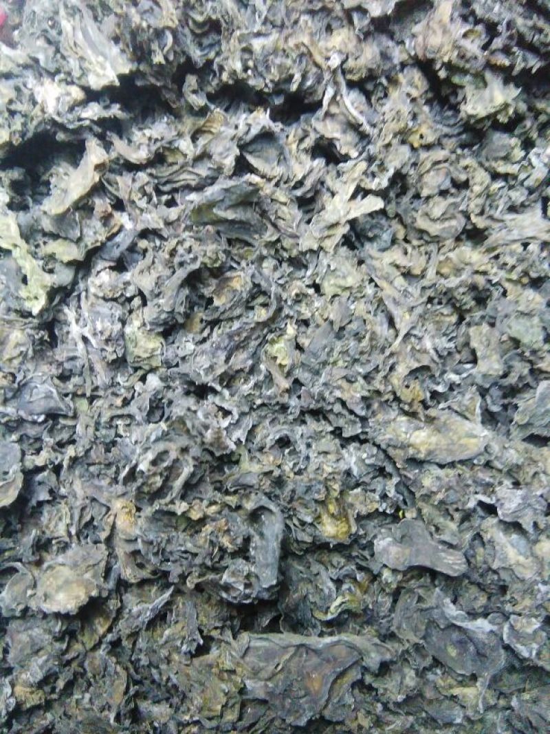 野生地耳(地皮菜)，过筛干货，50斤包邮