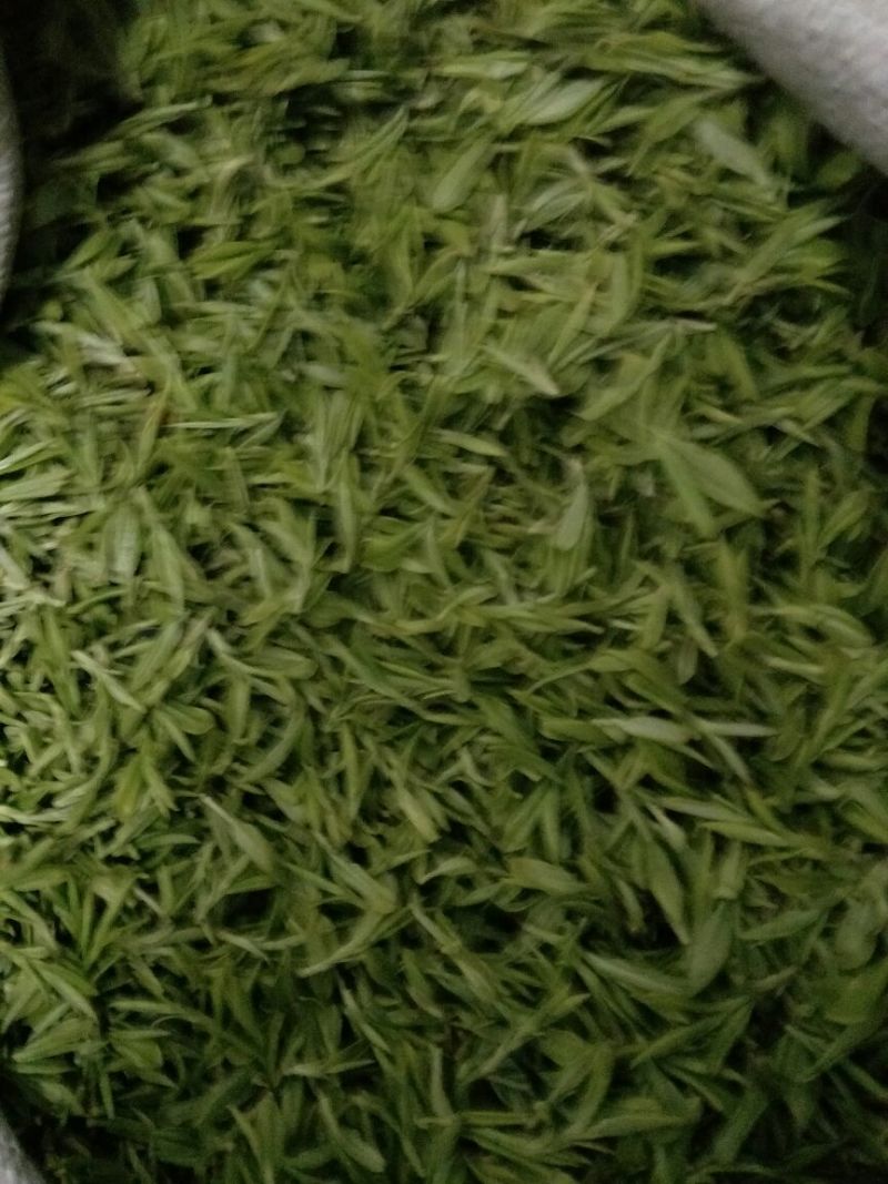 茶叶特级
