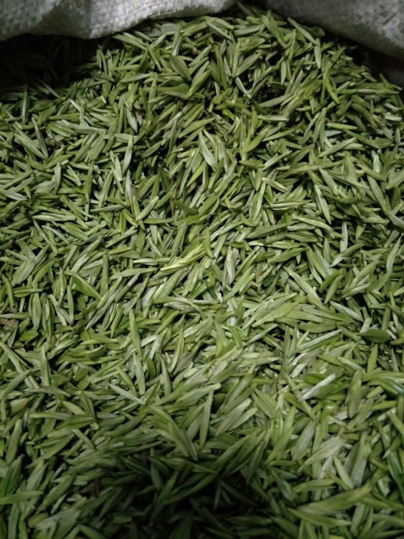 茶叶特级