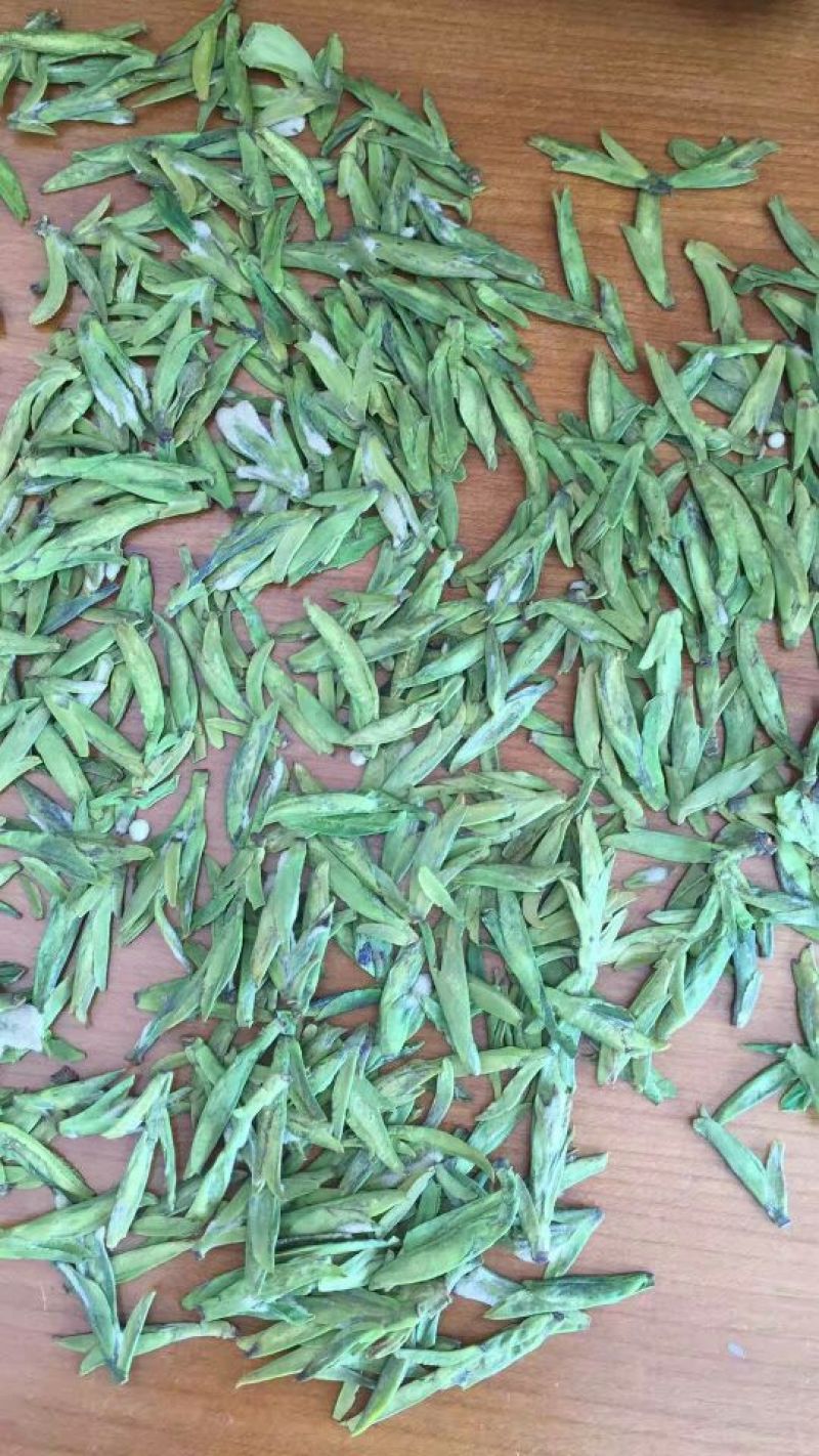 茶叶特级