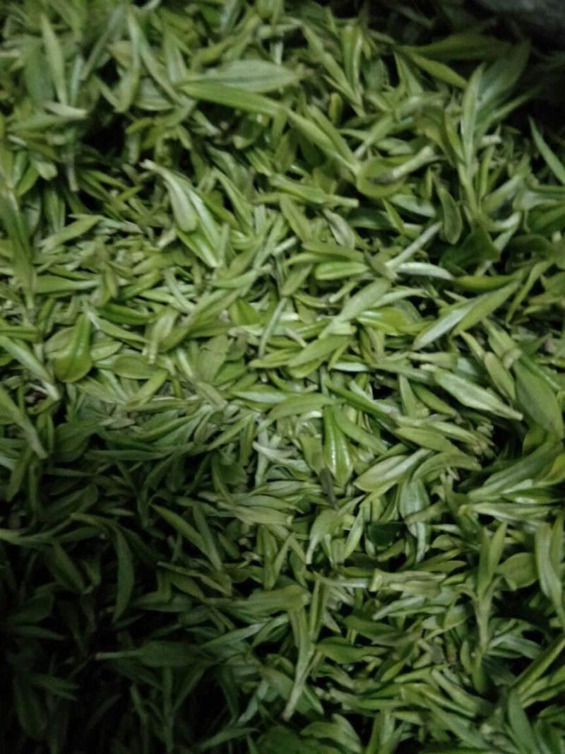 茶叶特级