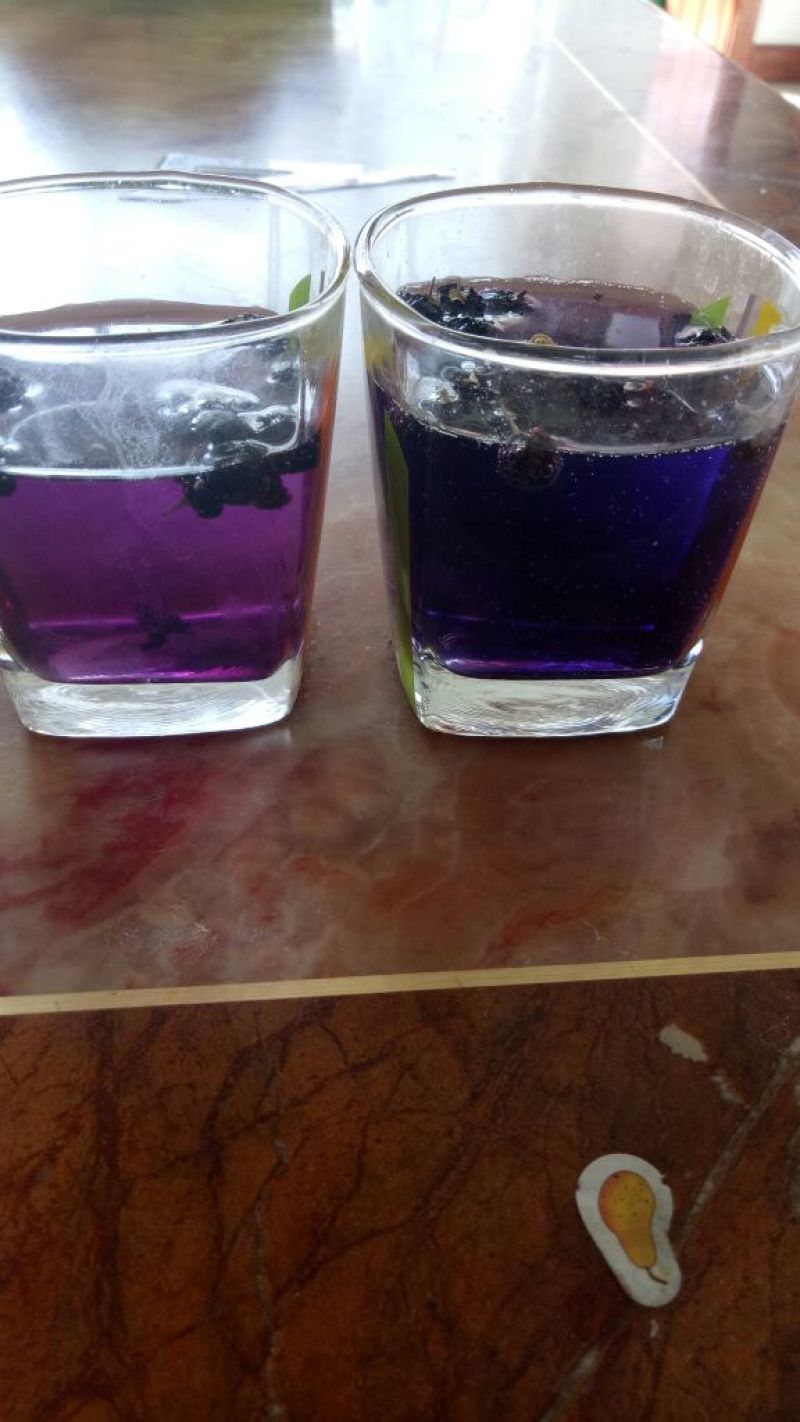 黑枸杞头茬干货