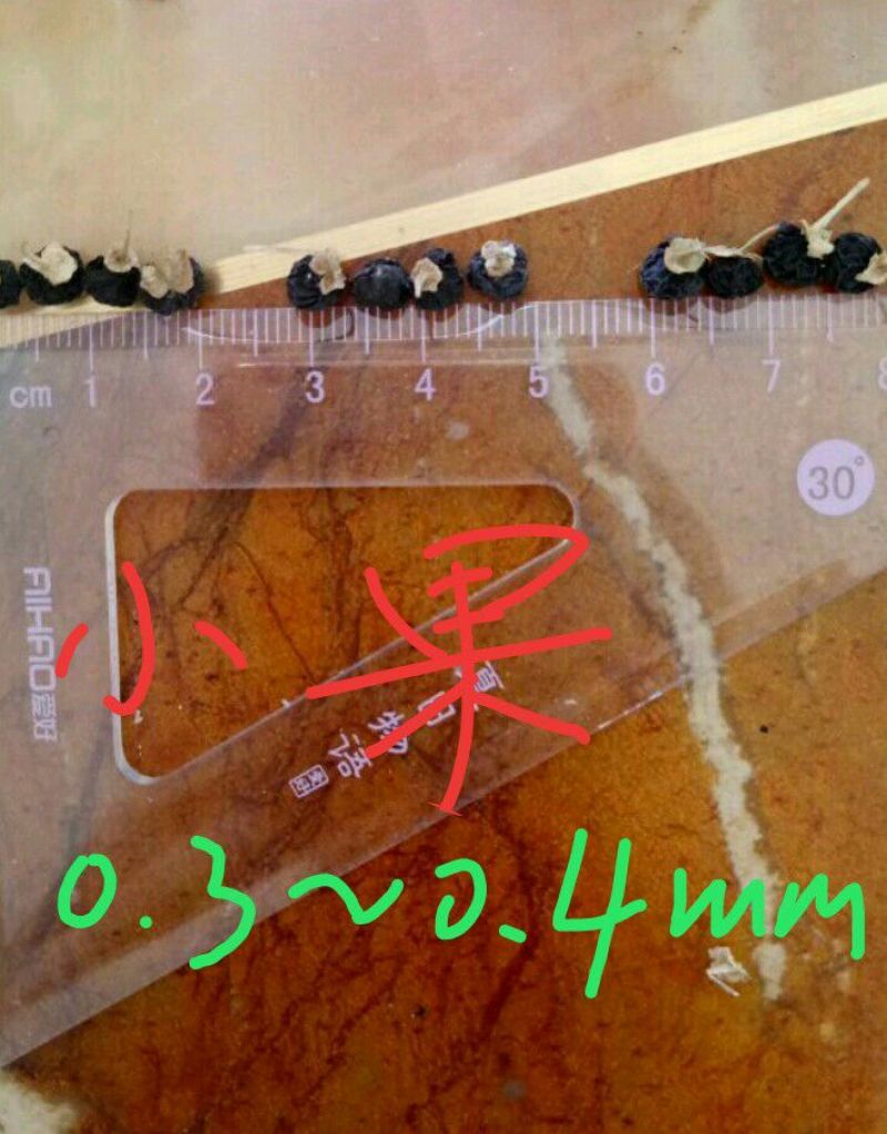 黑枸杞头茬干货