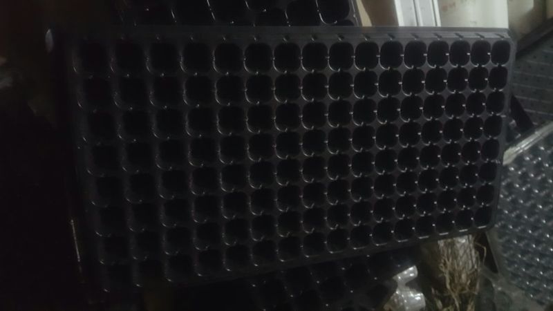 穴盘育苗盘营养盘，育苗穴盘，苗盘植物育苗专用盘