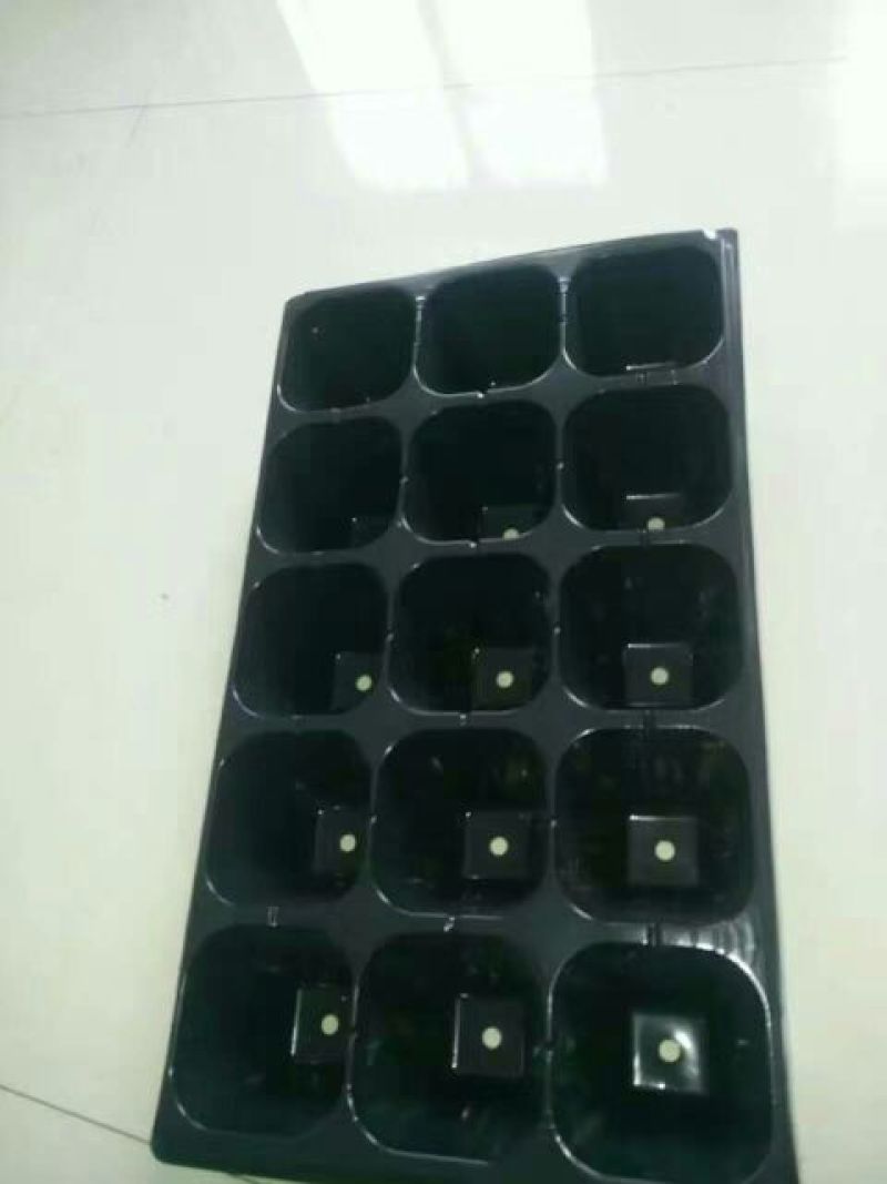 穴盘育苗盘营养盘，育苗穴盘，苗盘植物育苗专用盘