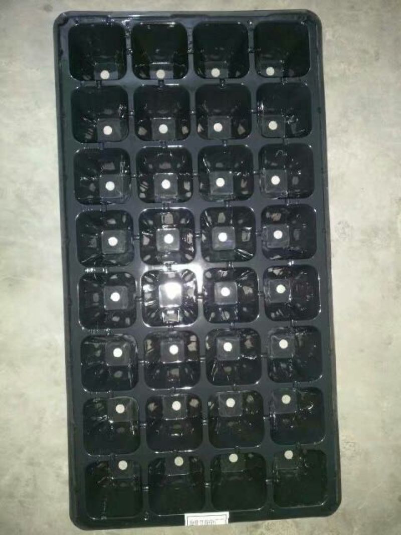 穴盘育苗盘营养盘，育苗穴盘，苗盘植物育苗专用盘