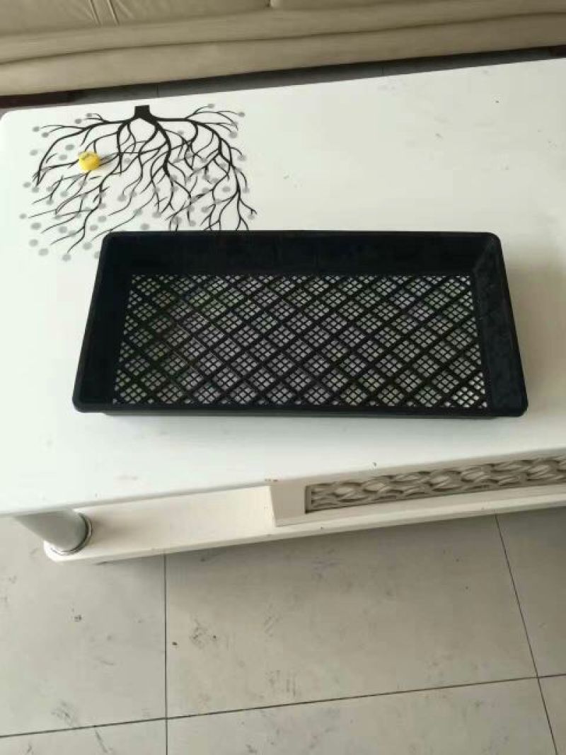 穴盘，育苗盘，苗盘。塑料育苗盘育苗容器，