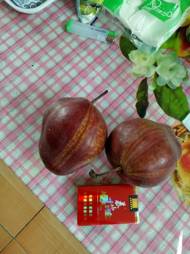 早酥红梨苗150~200cm0.8~3cm