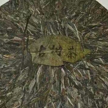 古树茶特级