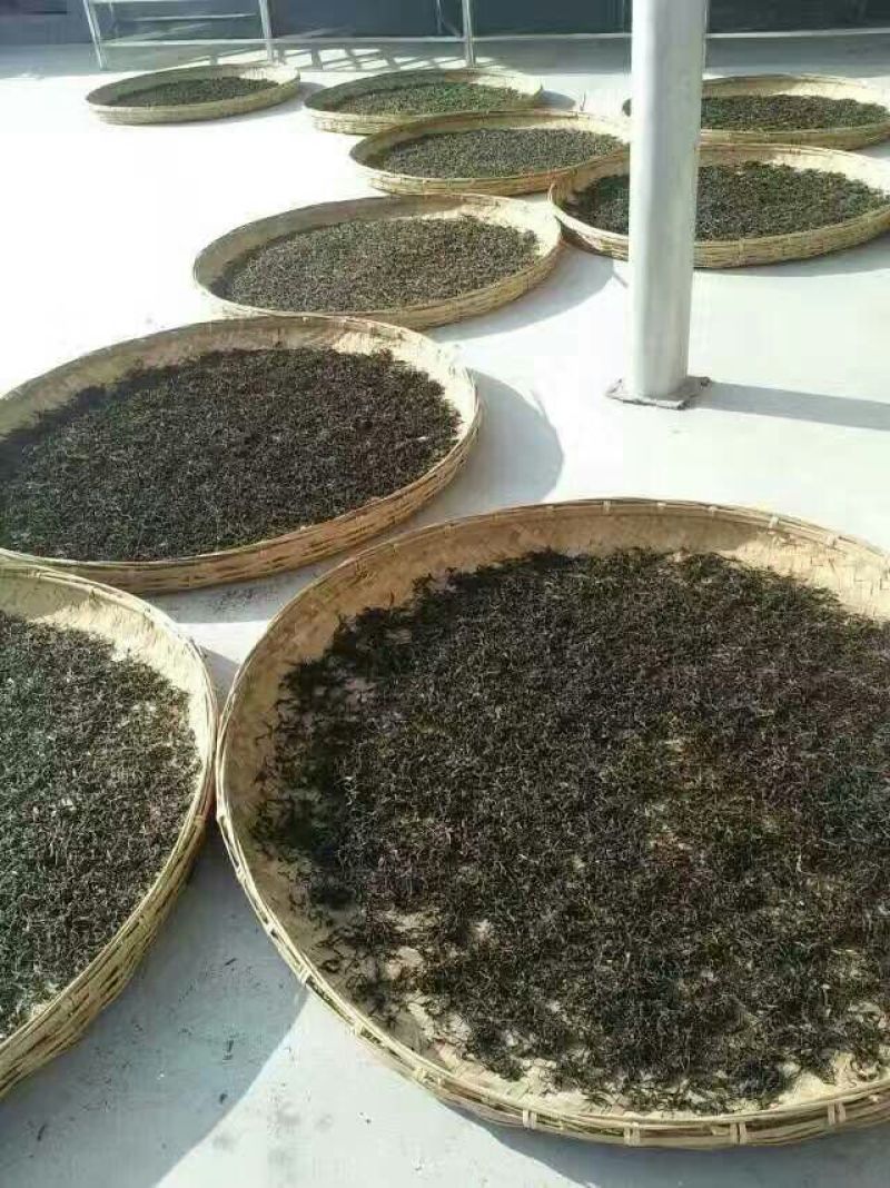 古树茶特级