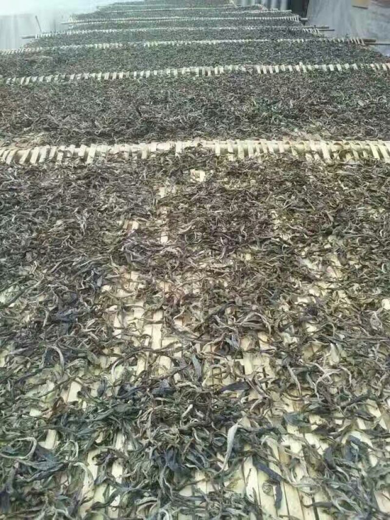 古树茶特级