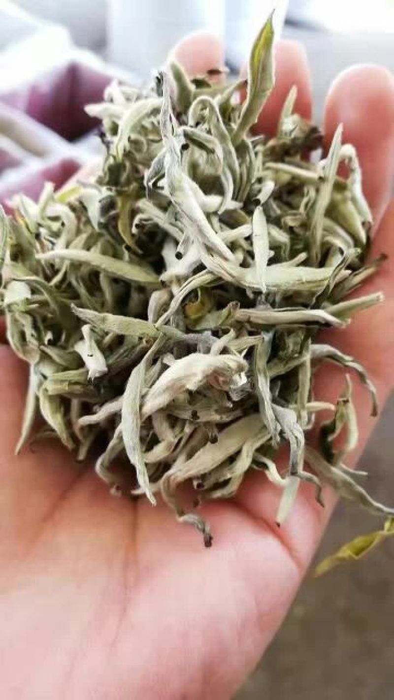 普洱茶