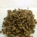 普洱茶