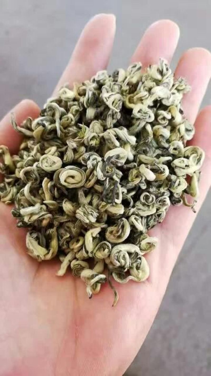 普洱茶
