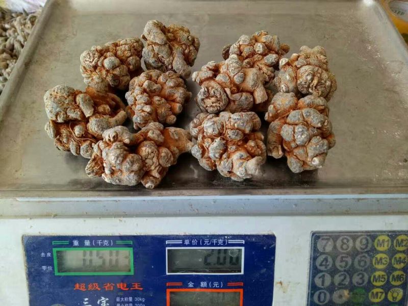 三七20头统货