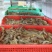 基围虾食用活虾