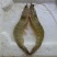 基围虾食用活虾