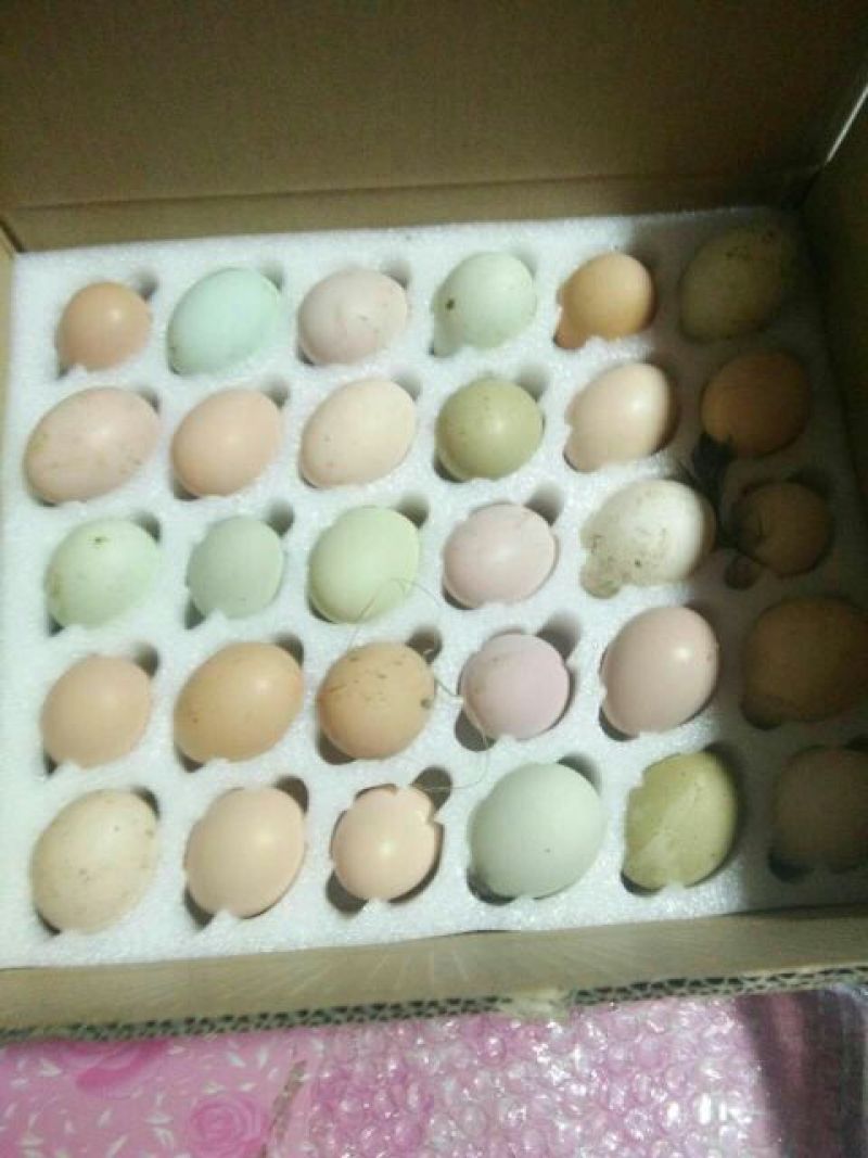 土鸡蛋40~50g食用