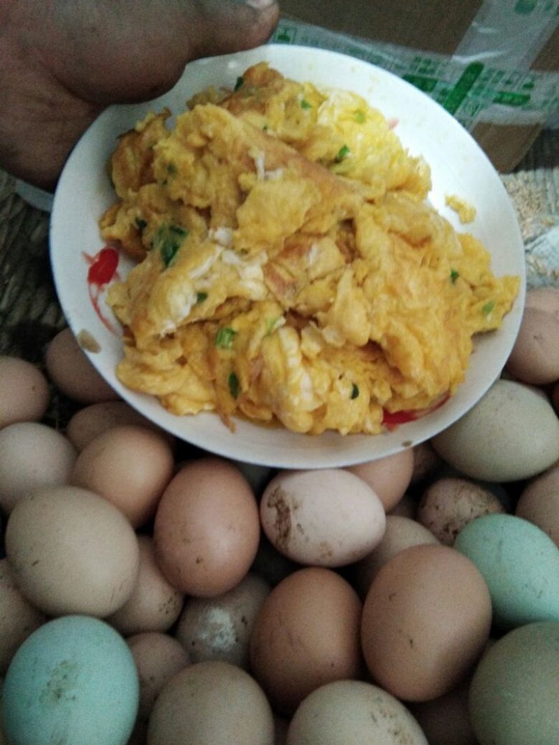 土鸡蛋40~50g食用