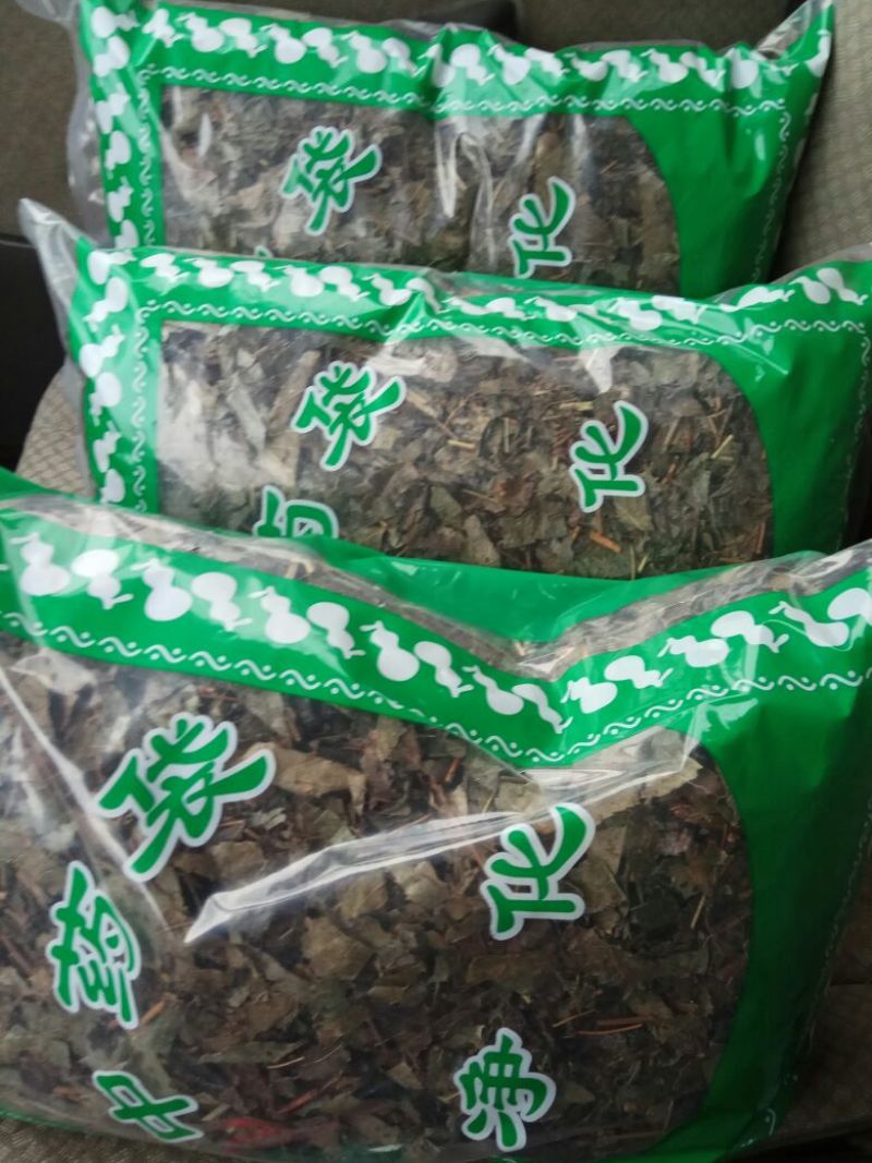 淫羊藿全叶