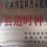 番石榴苗30~50cm