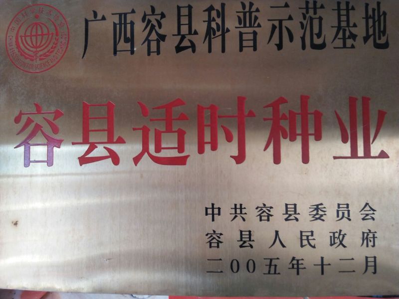 番石榴苗30~50cm