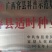 皇帝柑苗30~50cm