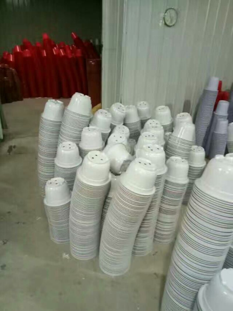 花盆塑料育苗花盆，硬质花盆，红花盆白花盆