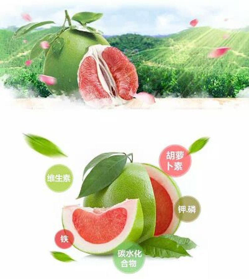 泰国青柚2斤以上