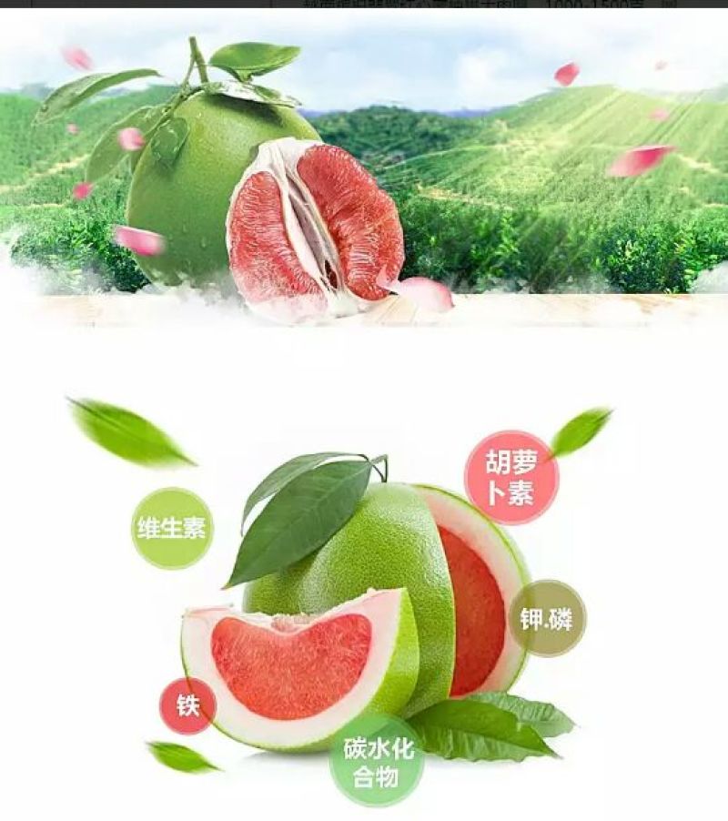 泰国青柚2斤以上