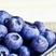 批发价位含花青素最多长白山纯蓝莓干