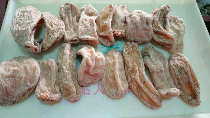 高山天麻丽江野生红嘴天麻