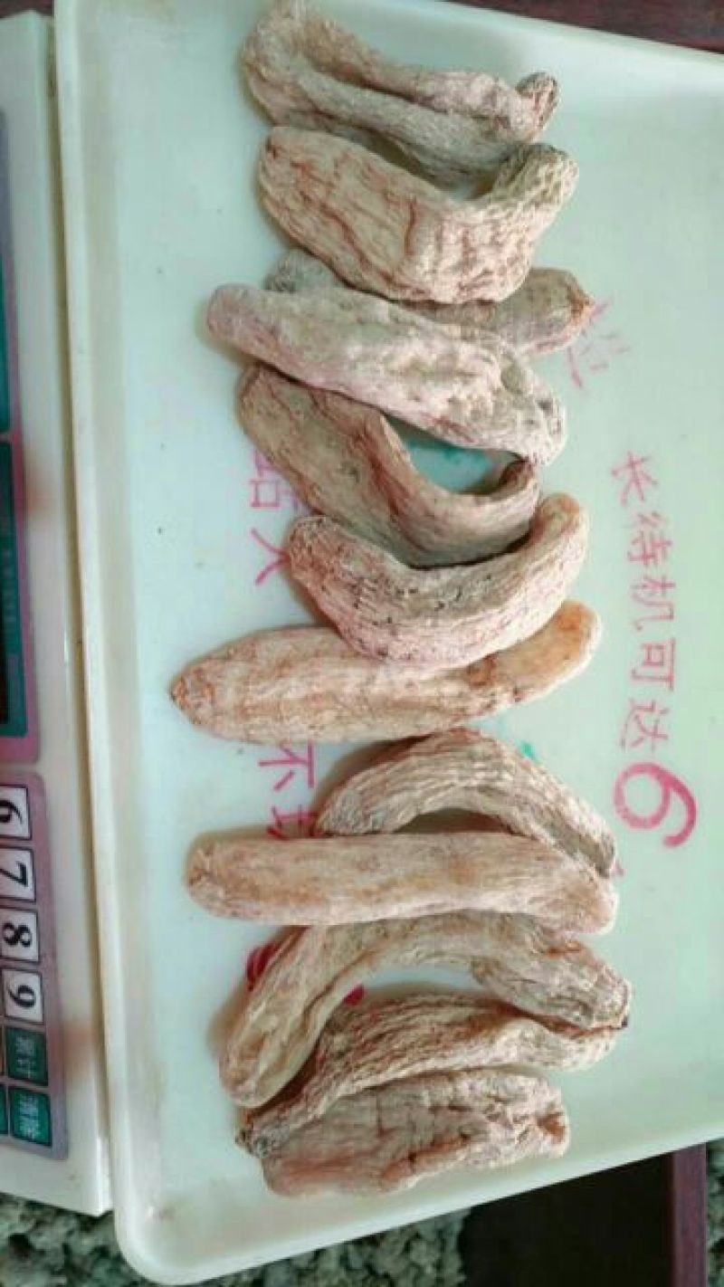 高山天麻丽江野生红嘴天麻