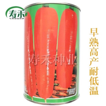 萝卜种子