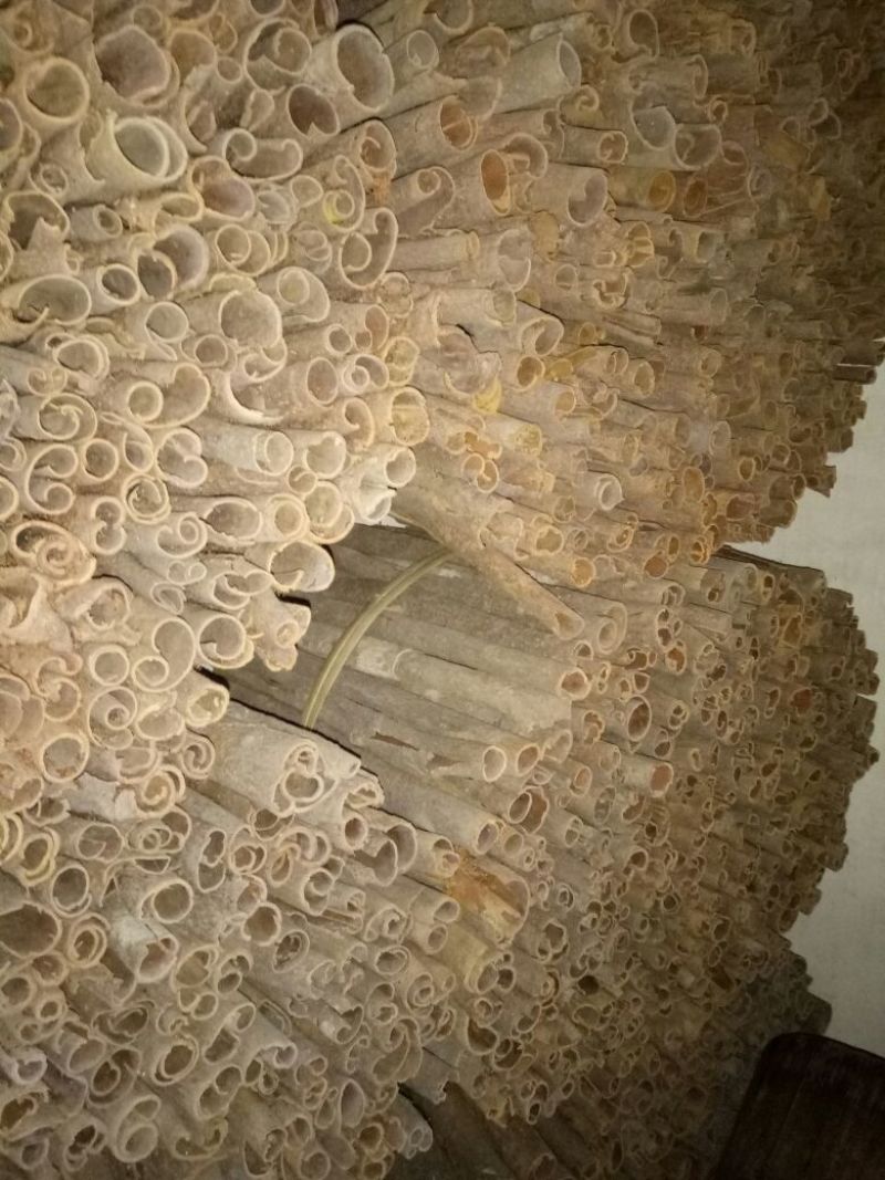 桶桂散装统货
