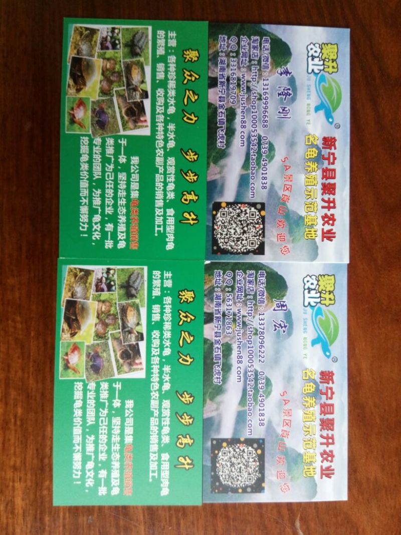 鳄龟
