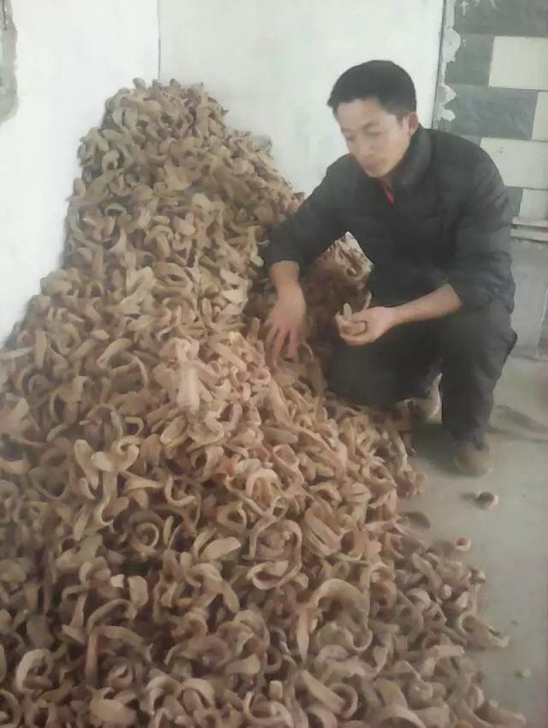 野生天麻统货