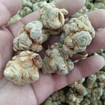 三七30头选货