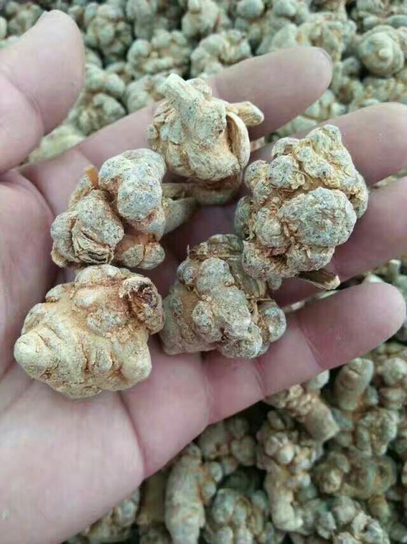 三七30头选货