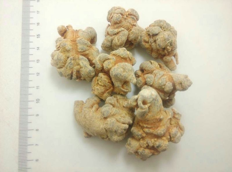 三七30头选货