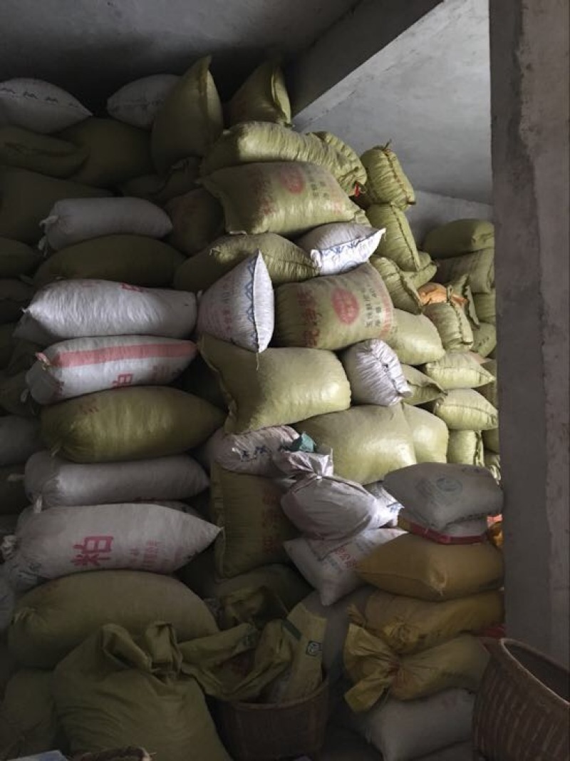 白沙双仁果生花生带壳农家自种