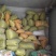 白沙系列