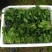 大叶菠菜15~20厘米