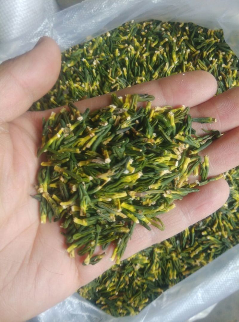 莲子芯