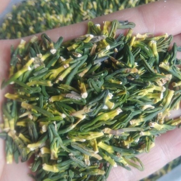 莲子芯