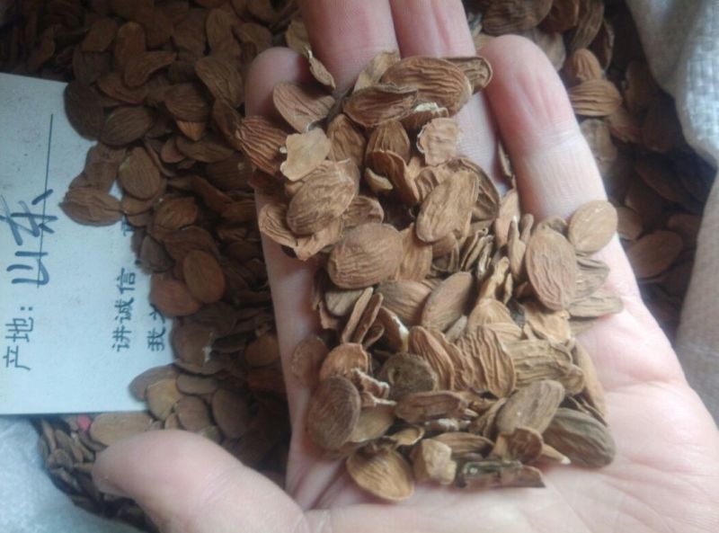 桃仁