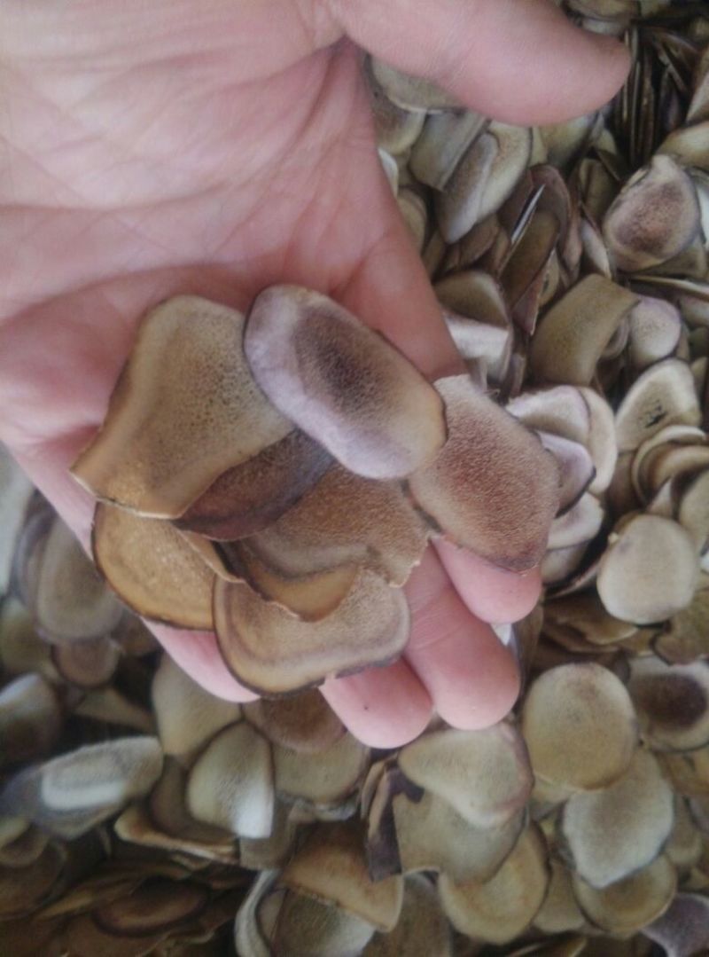 鹿茸干