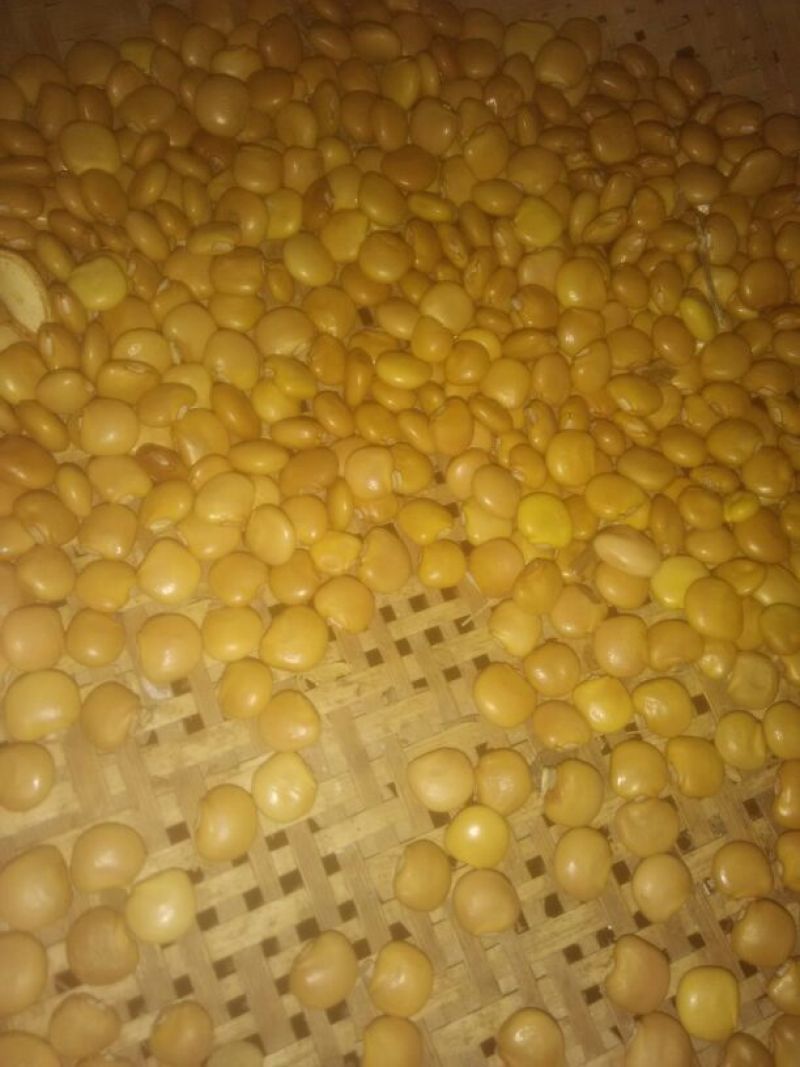凉薯500~1000g