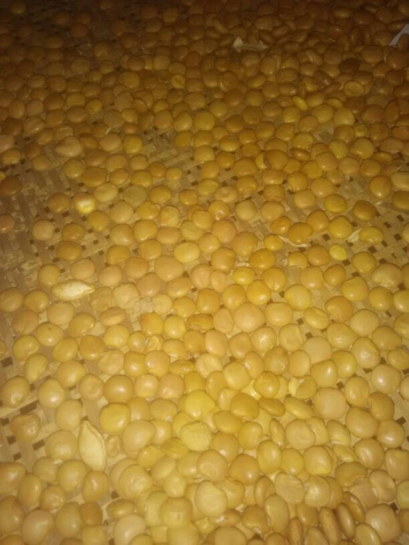 凉薯500~1000g