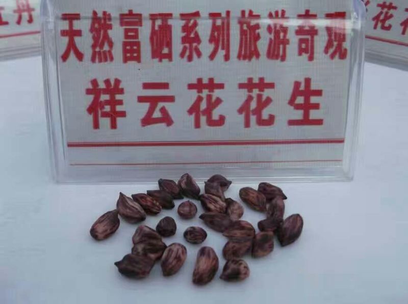 彩色花生干货带壳